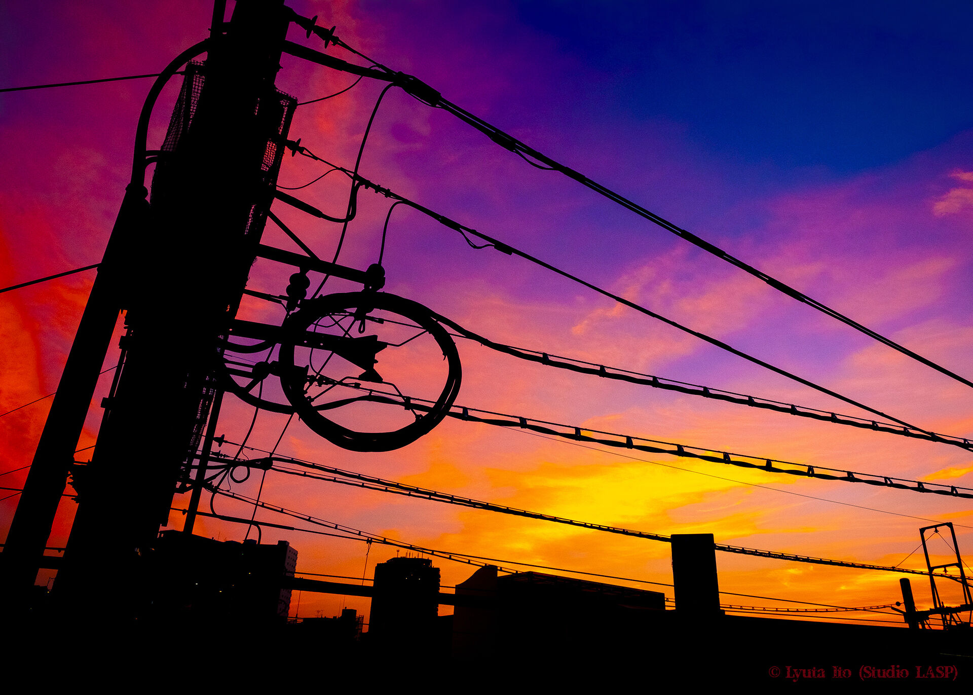 写真作品