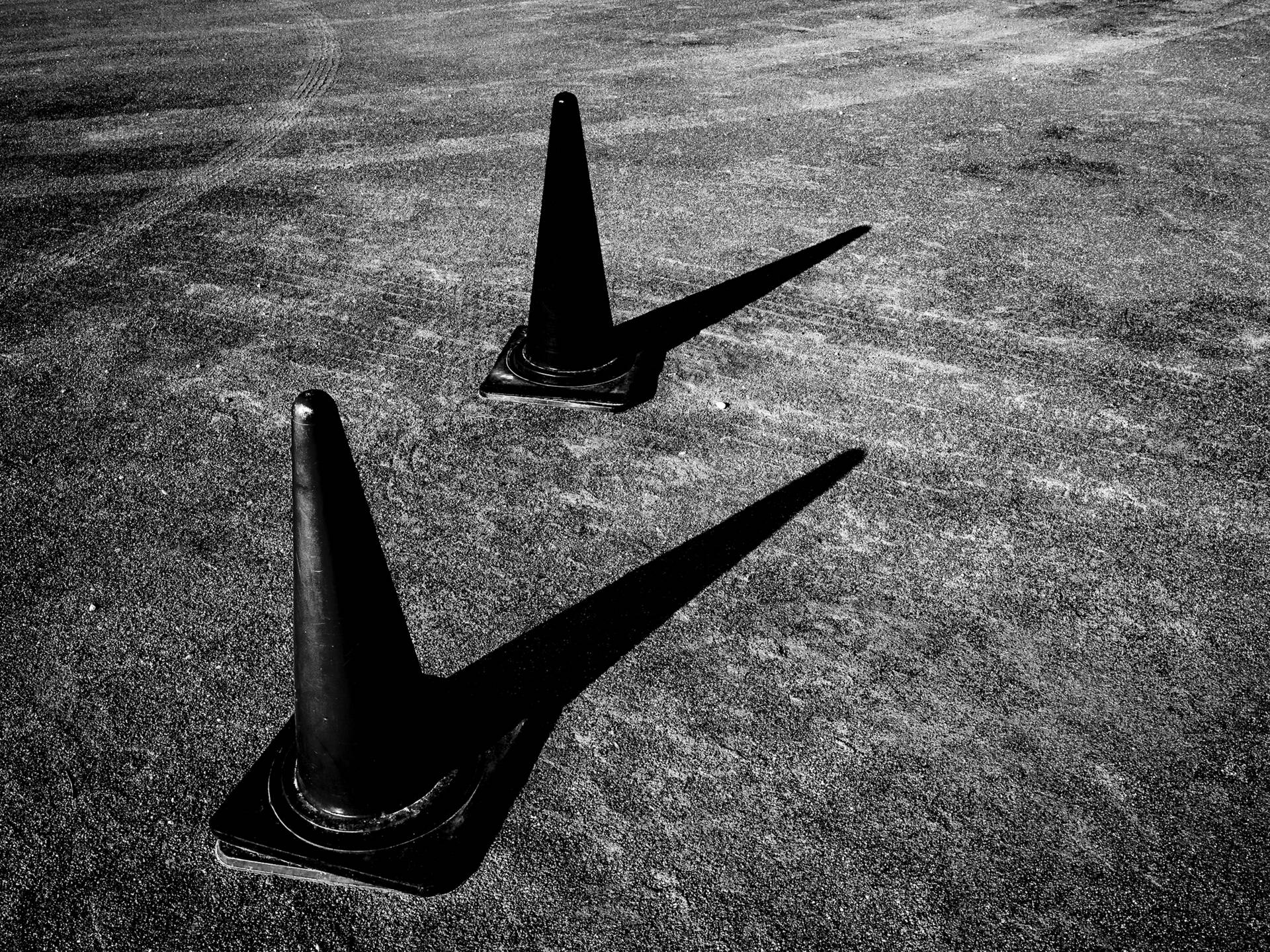 写真作品