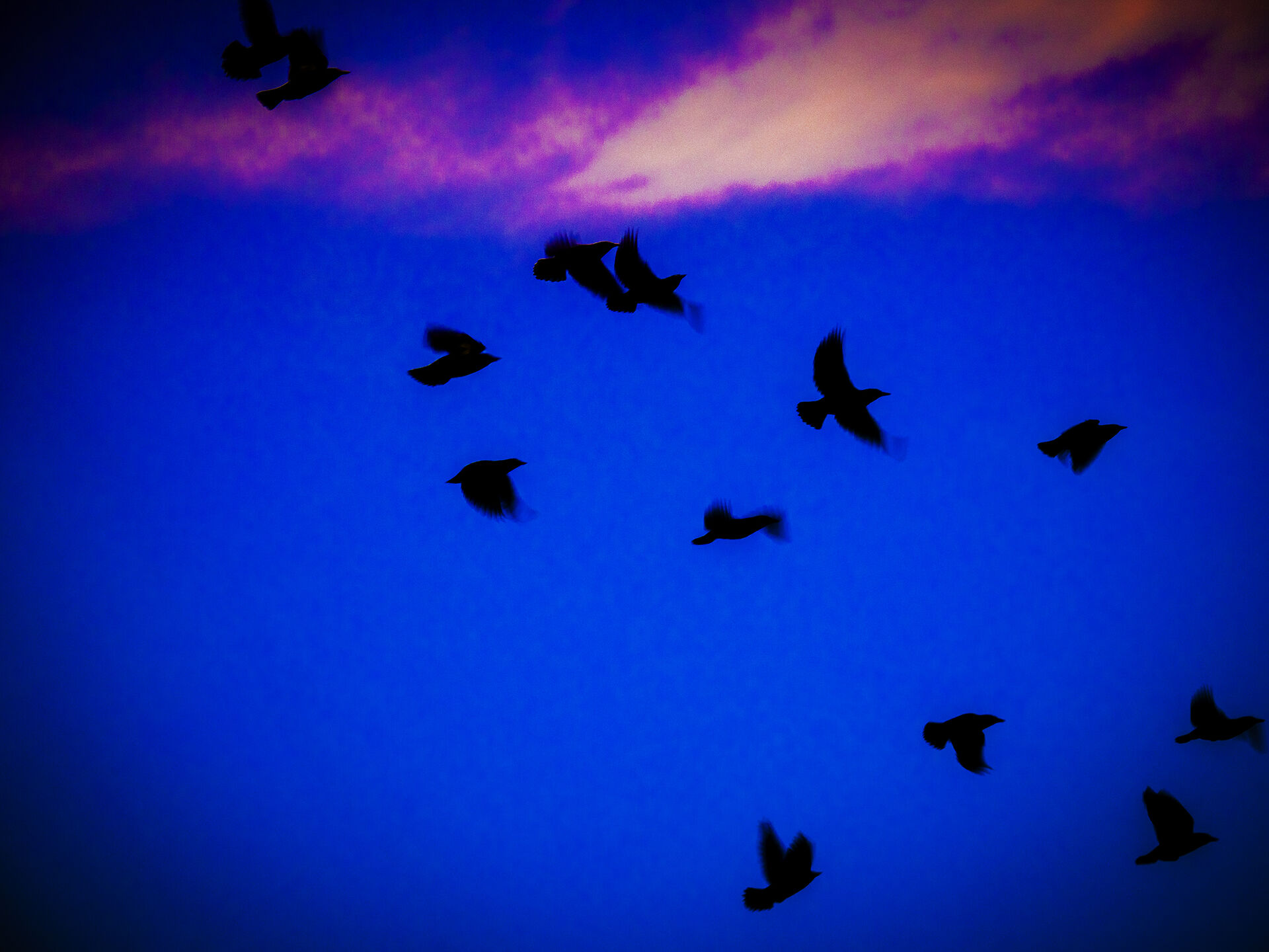 写真作品