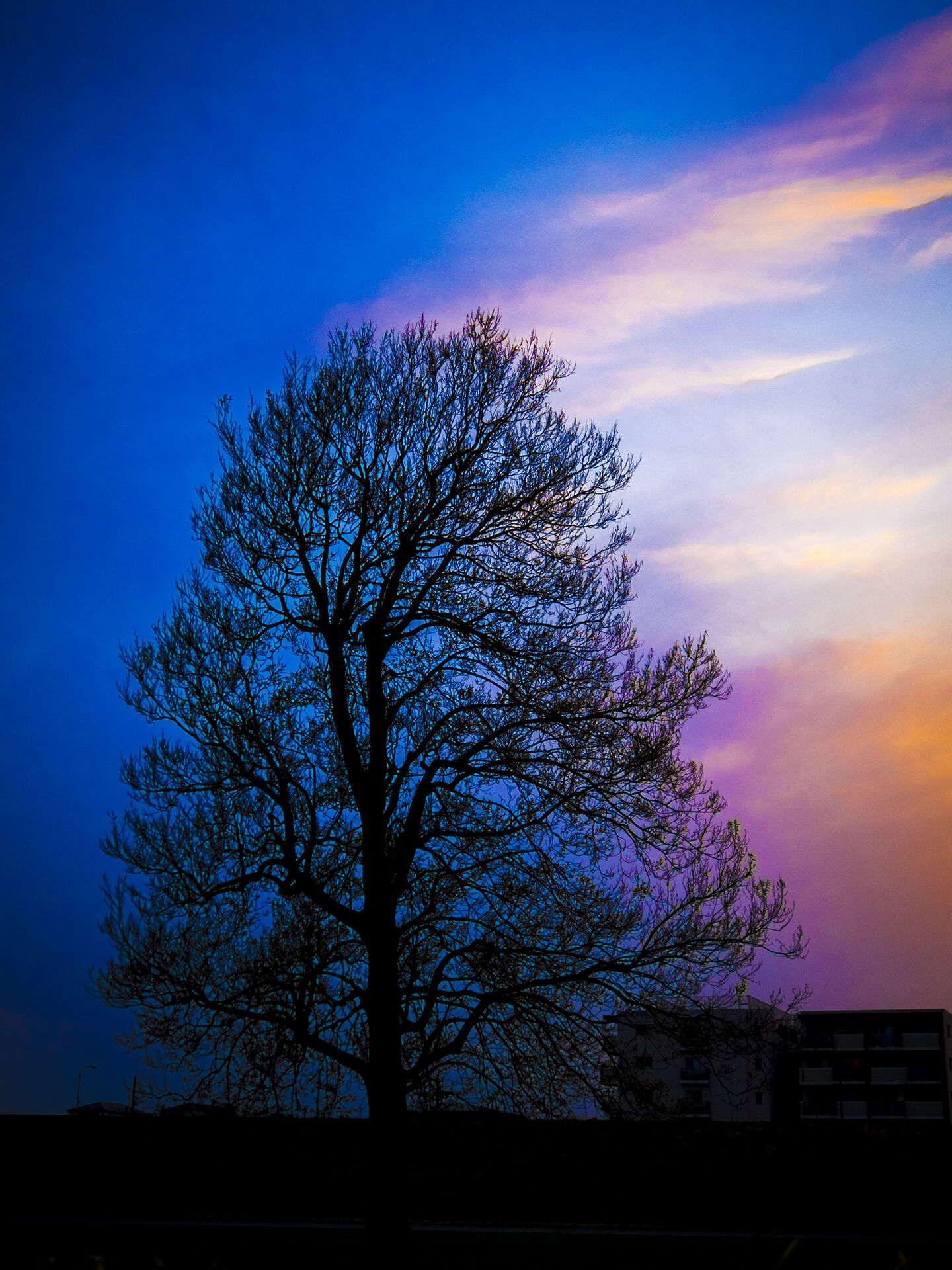 写真作品