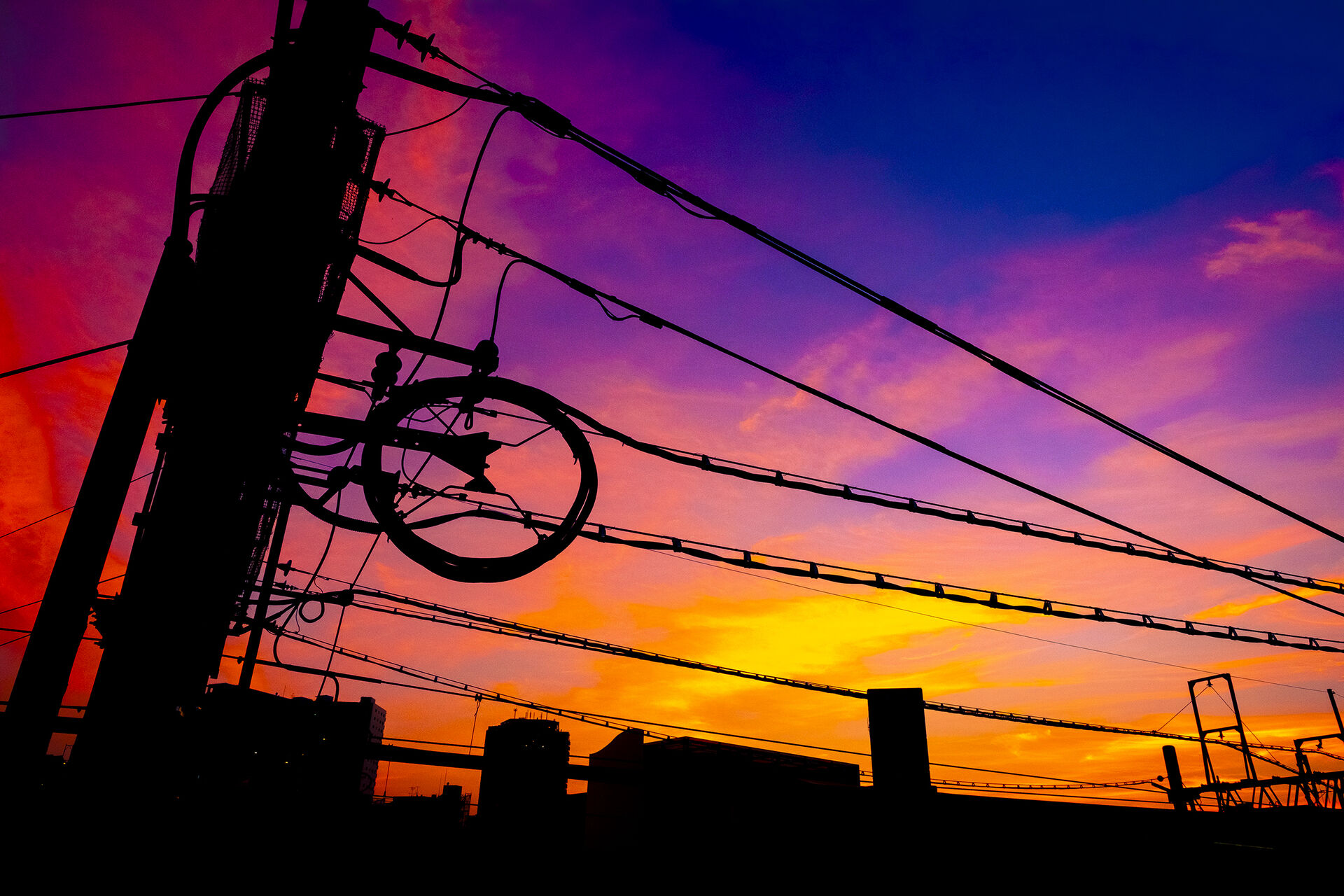 写真作品
