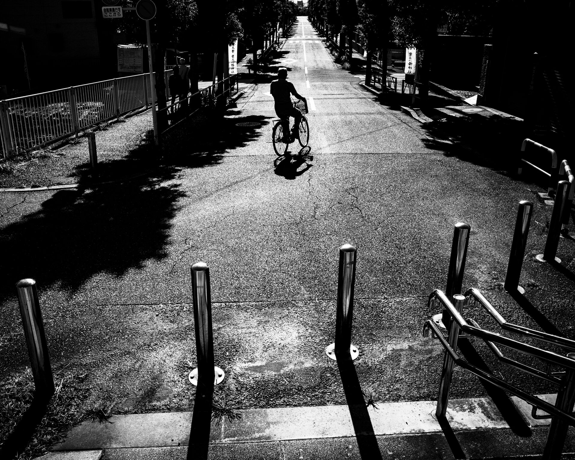 写真作品
